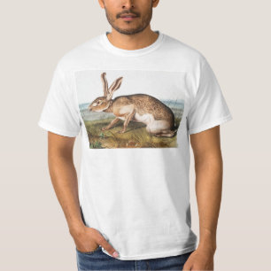 Camiseta Ilustração do Coelho da Lepus Texianus