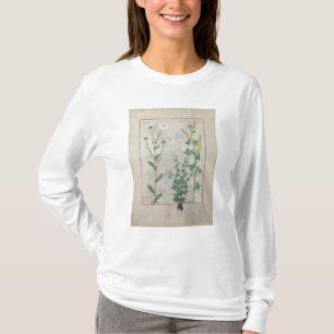 Camiseta Ilustração 'do livro de simples