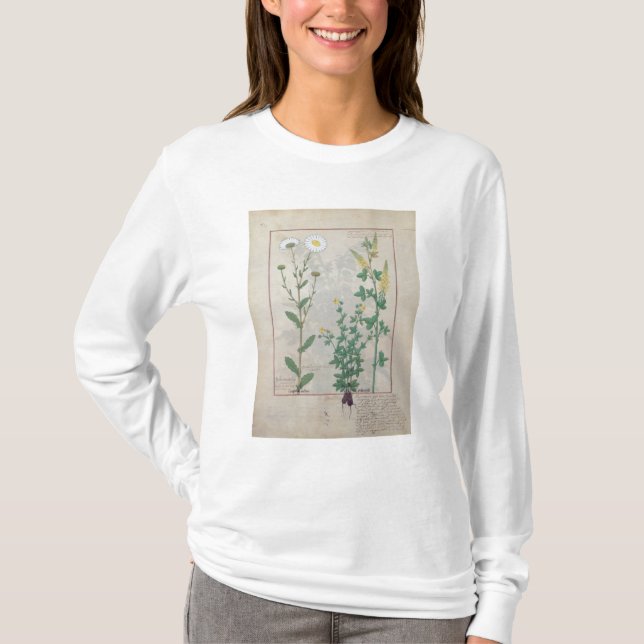 Camiseta Ilustração 'do livro de simples (Frente)