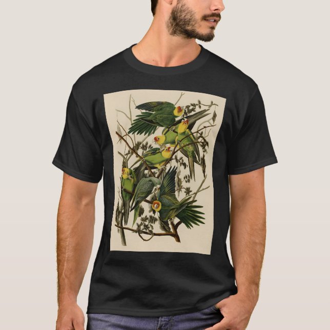 Camiseta Ilustração do Papagaio Vintage (Frente)