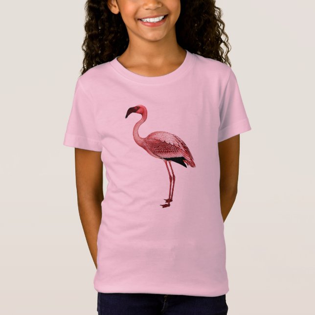 Camiseta Ilustração do vintage do flamingo (Frente)