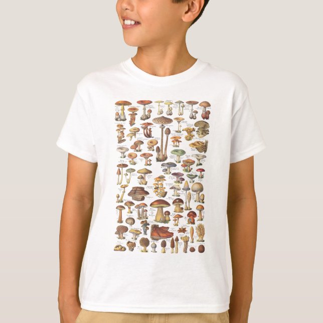 Camiseta Ilustração do vintage dos cogumelos (Frente)