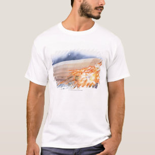 Camiseta Ilustração do zepelim que estoura em chamas