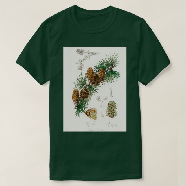 Camiseta Ilustração Linus larix da Medical Botany 1836 (Frente do Design)