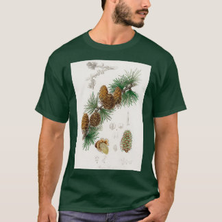 Camiseta Ilustração Linus larix da Medical Botany 1836
