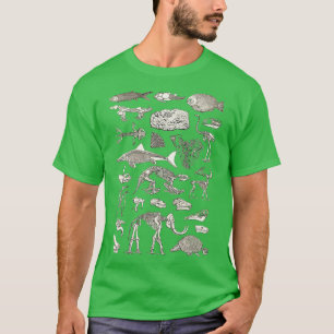 Camiseta Ilustração Paleontológica 6