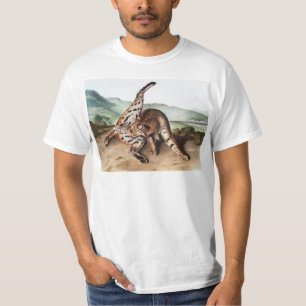 Camiseta Ilustração Texan Lynx (Lynx rufus var maculatus)