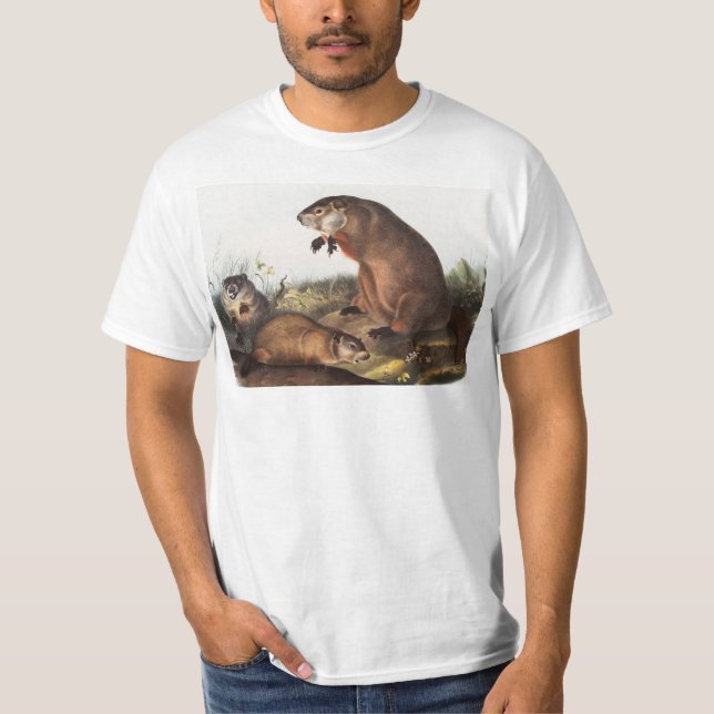 Camiseta Ilustração Woodchuck (Arctomys monax) (Frente)