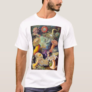 Camiseta Imagem Actiniae Germa Ernst Haeckel