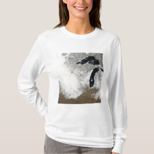 Camiseta imagem da Verdadeiro-cor da neve