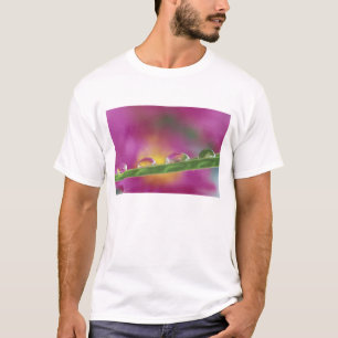 Camiseta Imagem de ásteres formados em gotículas de água