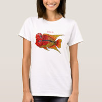 Imagem de desenho animado de peixes-cichlid-Flor