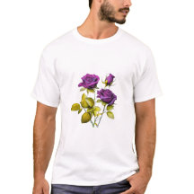 Imagem de Rosa - Ilustração Floral de Elegância Mí