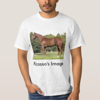 Camiseta imagem de s - imagem do pdf s