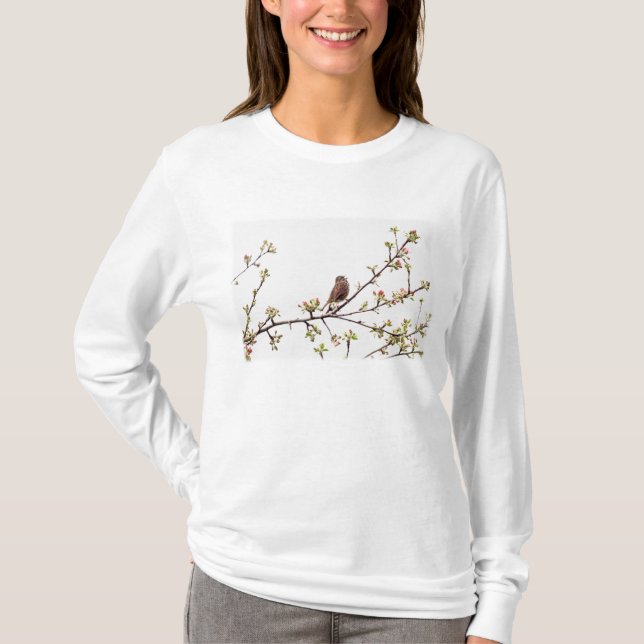 Camiseta Imagem do pardal que canta na árvore de (Frente)