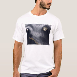 Camiseta Imagem satélite da ilha de Semisopochnoi