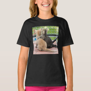 Camiseta Imagens de Getty dois gatinhos em um balcão
