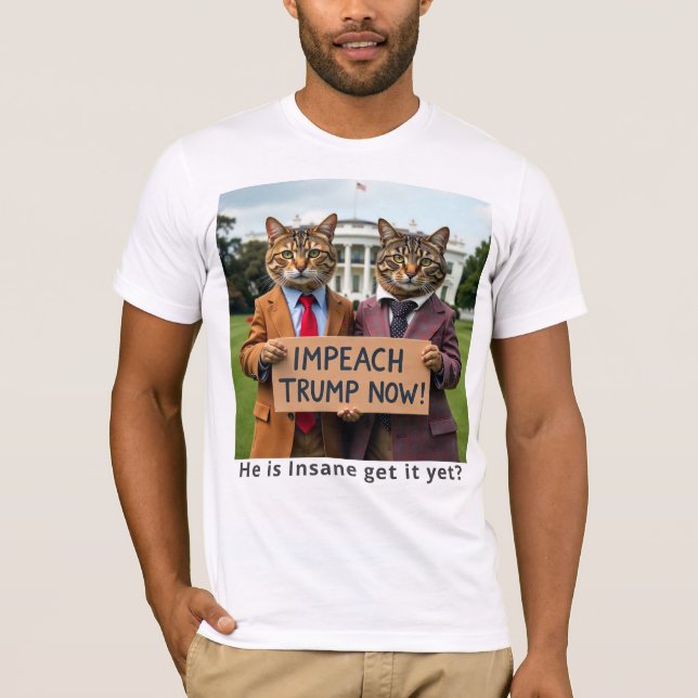 Camiseta Imaginem picuinhas agora em fatos (Frente)