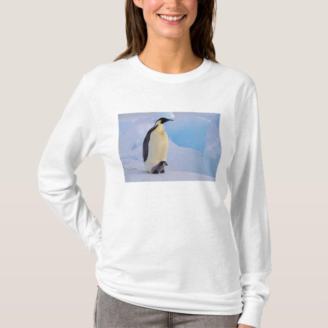 Camiseta Imperador Penguin | Aptenodytes (Frente)