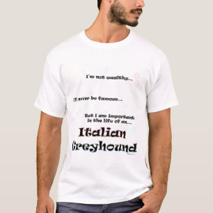 Camiseta Importante para o meu grego italiano