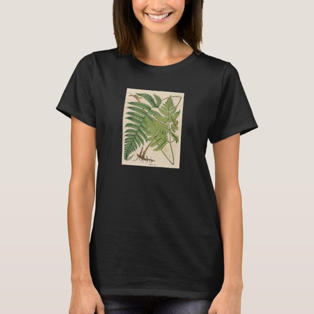 Camiseta Impressão botânico do vintage - samambaias (Frente)