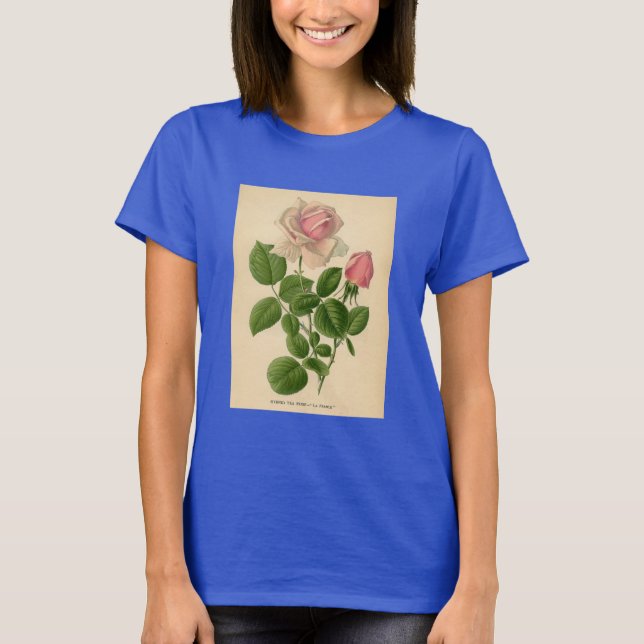 Camiseta Impressão botânico - rosa de chá (Frente)