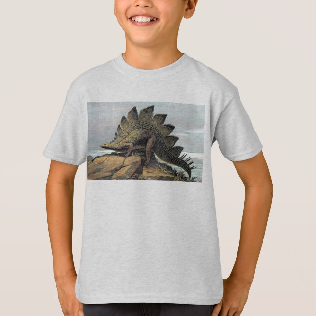Camiseta Impressão da antiguidade do dinossauro do (Frente)