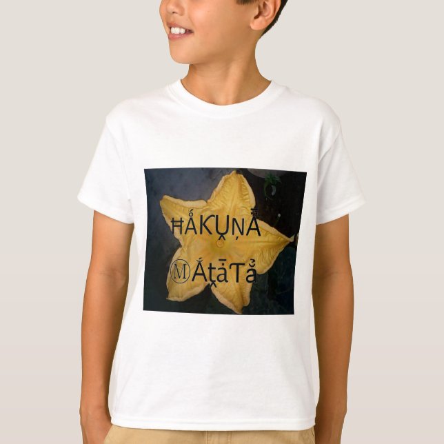 Camiseta Impressão de Arte do Ouro Star Hakuna Matata (Frente)