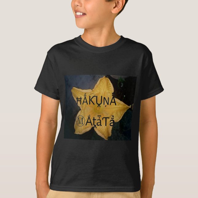 Camiseta Impressão de Arte do Ouro Star Hakuna Matata (Frente)