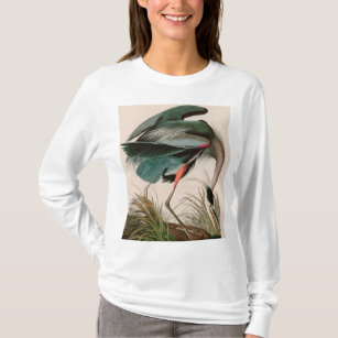 Camiseta Impressão de excelente T- - Aves Heronárias Azuis 