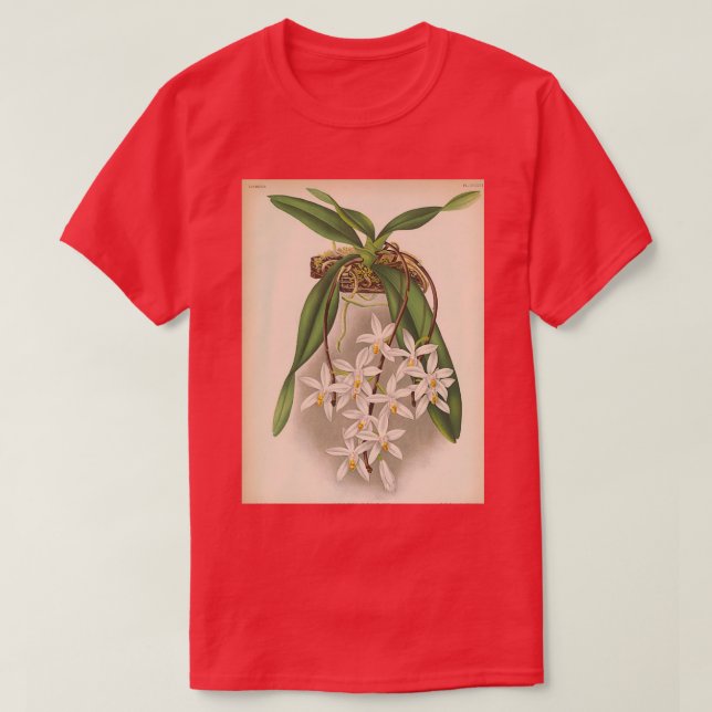 Camiseta Impressão Sarcochilus unguiculatus 1887 (Frente do Design)