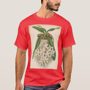 Camiseta Impressão Sarcochilus unguiculatus 1887