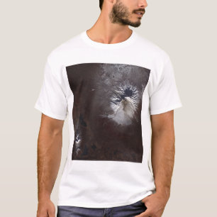 Camiseta Incinere manchas no ½ s sl do ¿ Â do volcanoÃ