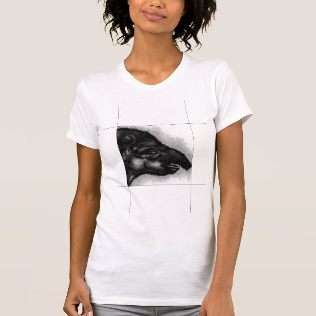 Camiseta Incredible illustrated t-shirts (Frente)