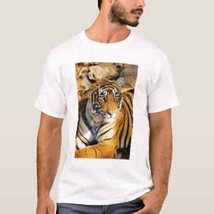 Camiseta Índia, Sawai Madhopur, Ranthambore Nacional