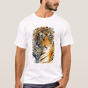 Camiseta Índia, Sawai Madhopur, Ranthambore Nacional