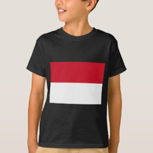 Camiseta indonésia
