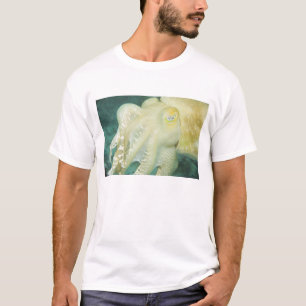 Camiseta Indonésia, Província de Sulawesi do Sul, Wakatobi