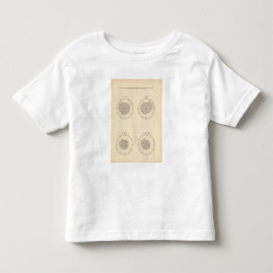 Camiseta Infantil 113 mortes em o mês 1900