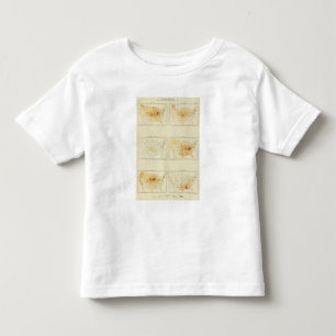 Camiseta Infantil 25 migração de um estado a outro 1890 INLA