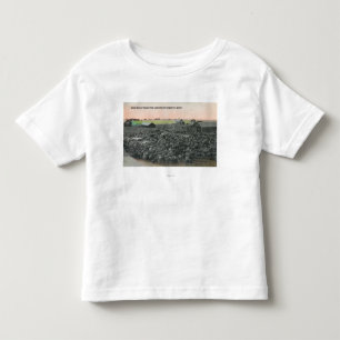Camiseta Infantil 5000 carneiros prontos para ShippingChester, TA