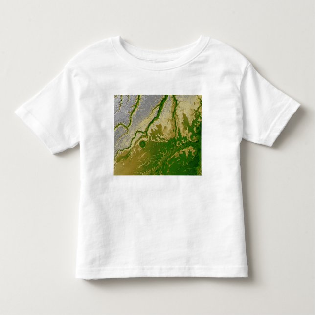 Camiseta Infantil A Amazônia boliviana (Frente)