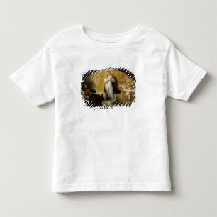 Camiseta Infantil A aparição do Virgin, 1665