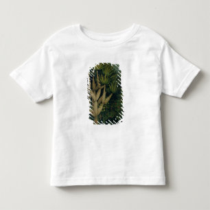 Camiseta Infantil A árvore do conhecimento dos bens e o mal