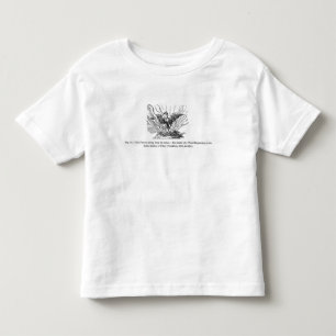 Camiseta Infantil A ascensão de Phoenix de suas cinzas