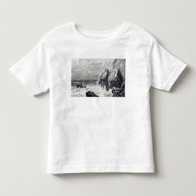 Camiseta Infantil A assombração das gaivota (Frente)