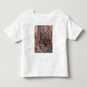 Camiseta Infantil A cascata pulpit e efêmero