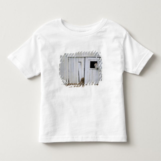 Camiseta Infantil A colagem do cavalo dirige para fora a janela do (Frente)