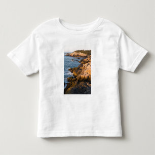 Camiseta Infantil A costa rochosa de Isle au Haut no