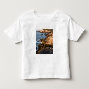 Camiseta Infantil A costa rochosa de Isle au Haut no Maine